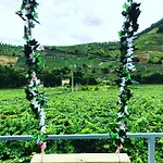 Solar Quinta Da Portela - Douro * Santa Marta de Penaguião