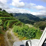 Solar Quinta Da Portela - Douro *