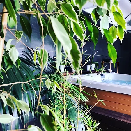 Solar Quinta Da Portela - Douro Casa de Campo Santa Marta de Penaguião