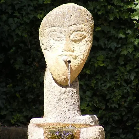 Solar Quinta Da Portela - Douro Casa de Campo *