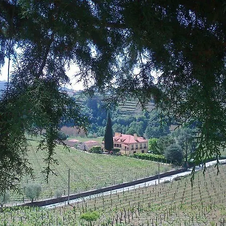 Solar Quinta Da Portela - Douro