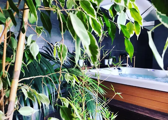 Solar Quinta Da Portela - Douro 컨트리하우스 산타마르타드페네구아