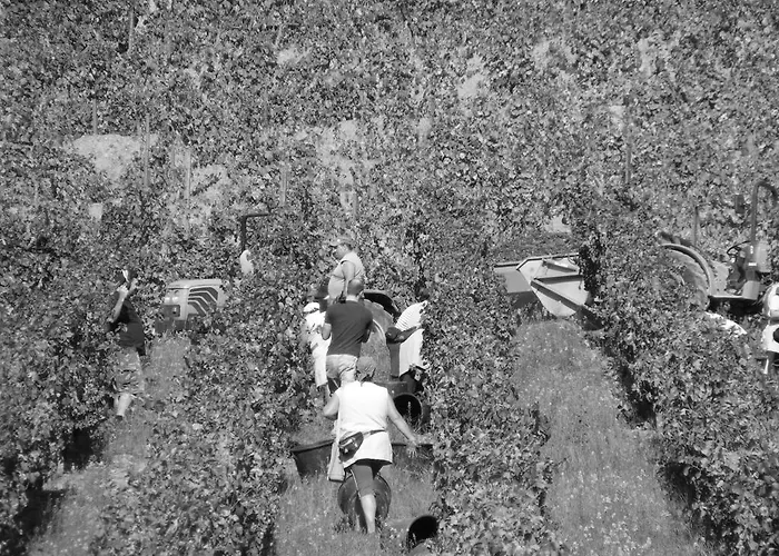 Solar Quinta Da Portela - Douro * Santa Marta de Penaguiao