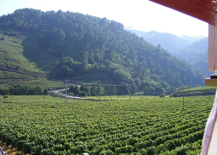 Solar Quinta Da Portela - Douro 산타마르타드페네구아