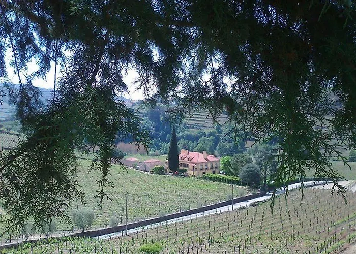 Solar Quinta Da Portela - Douro