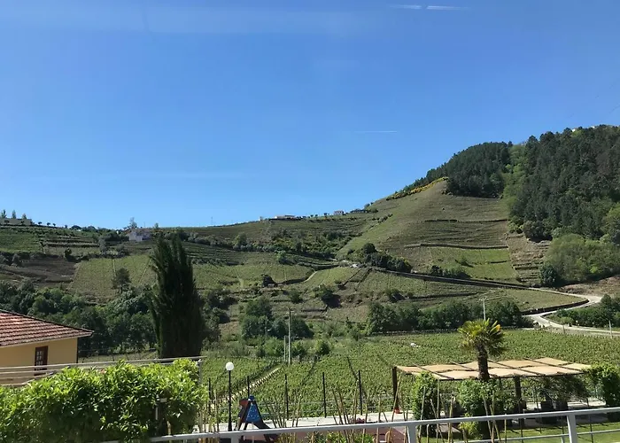 Solar Quinta Da Portela - Douro Country house